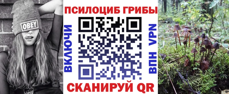 Псилоцибиновые грибы прущие грибы  Купить закладки  Хотьково 